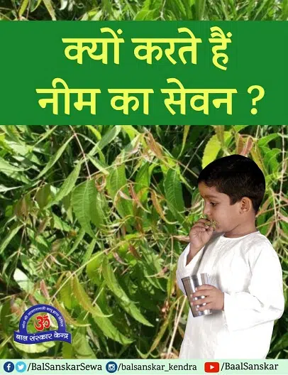 Neem