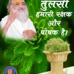 tulsi hamari rakshak aur poshak hai holy basil