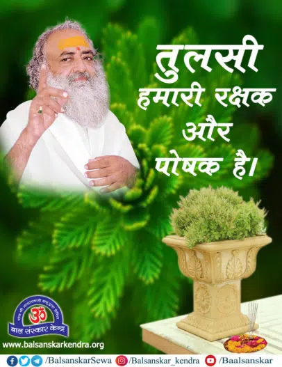 तुलसी हमारी रक्षक और पोषक है | Importance & Benfits of Tulsi (Holy Basil)
