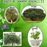 World Environment Day