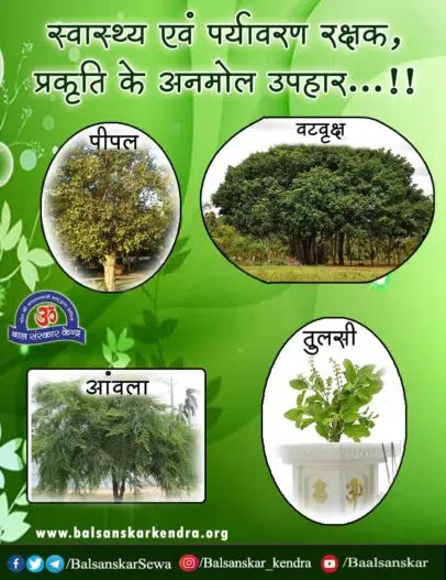 World Environment Day