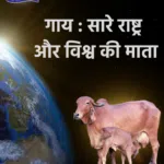 why indian desi cow is called gau mata of india and world