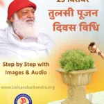 Tulsi Pujan Vidhi with images mp3 audio mantra vidhi