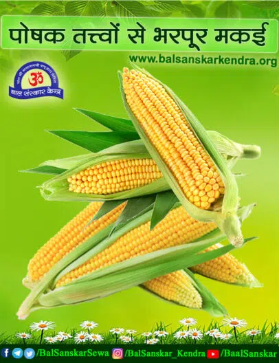 Corn Makka Health Benefits