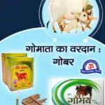 Cow Dung Gobar Benefits