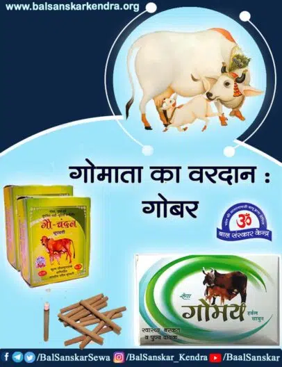 Cow Dung Gobar Benefits