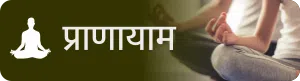 Pranayam